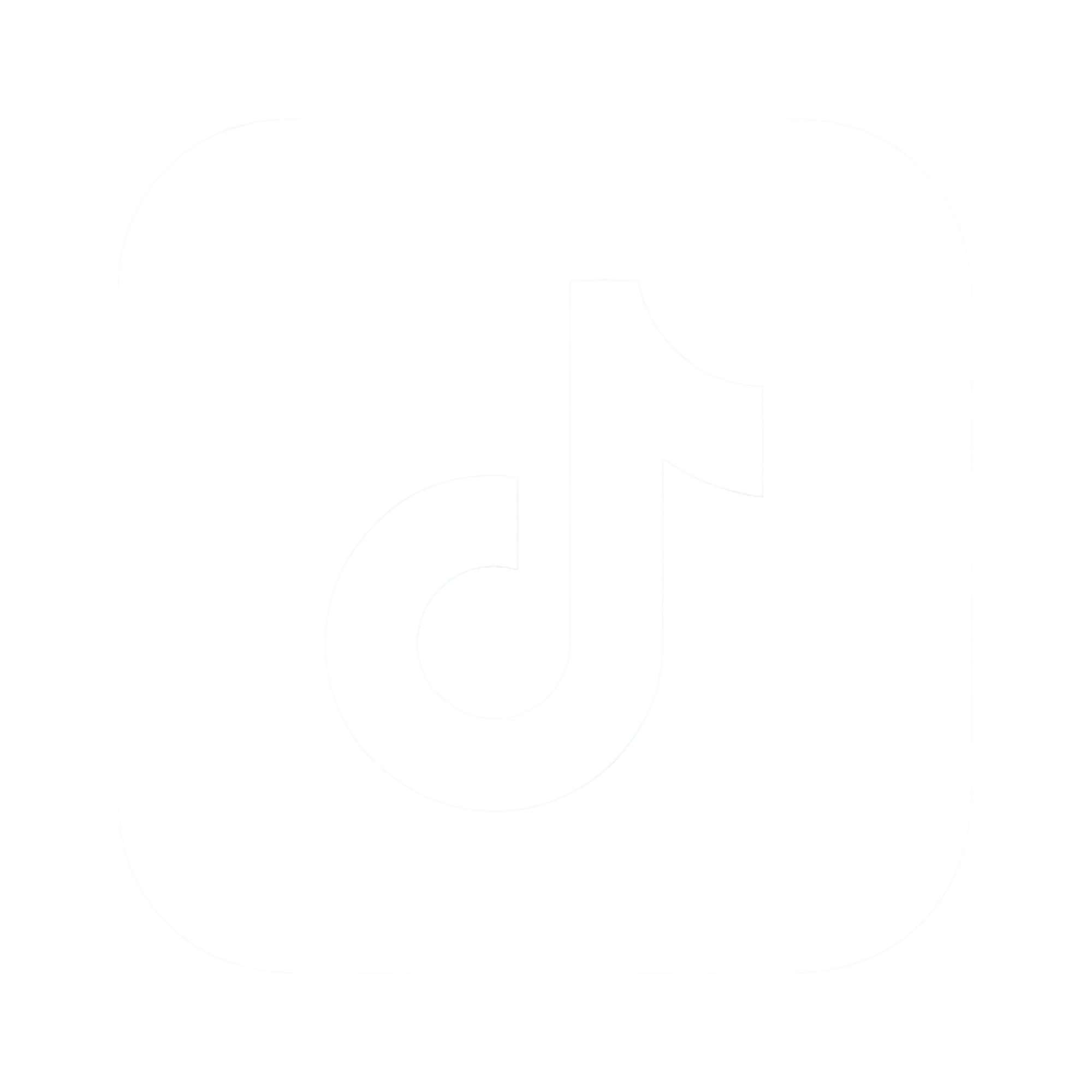 TikTok icon